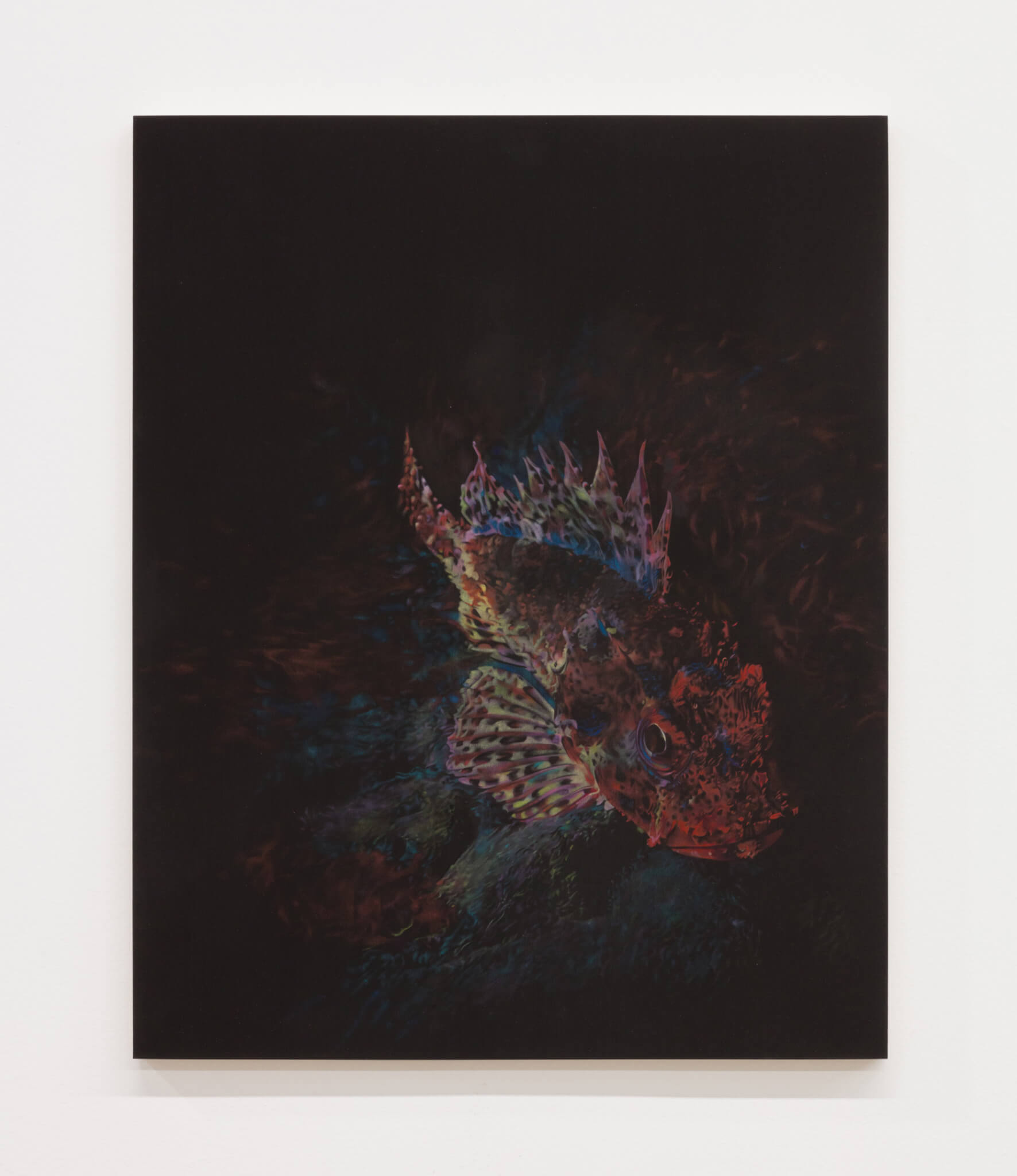 Mann, California Scorpionfish, 2020 (BM 20.001) A copy