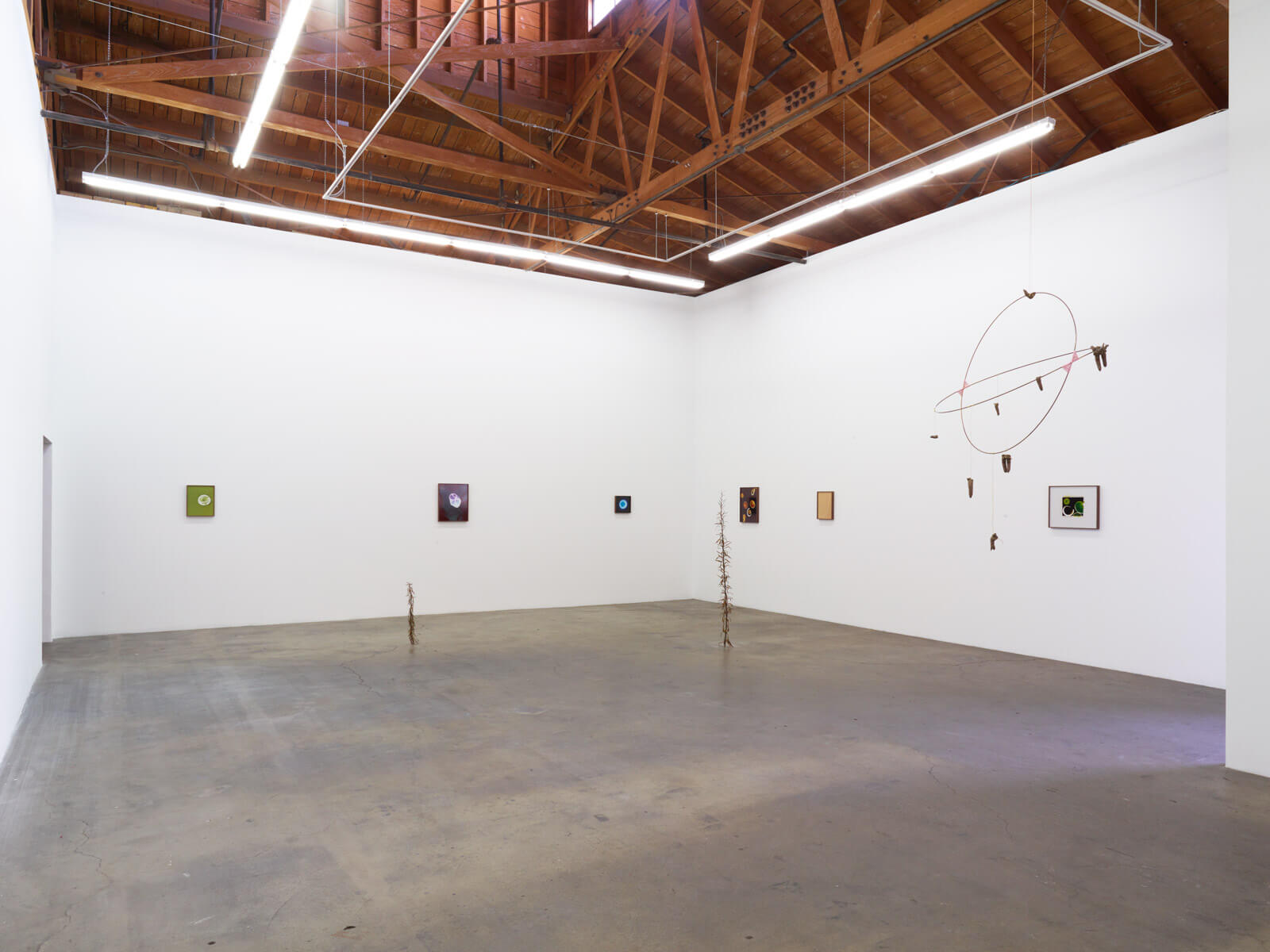 1_Kelly Akashi, Being as a Thing, Installation View