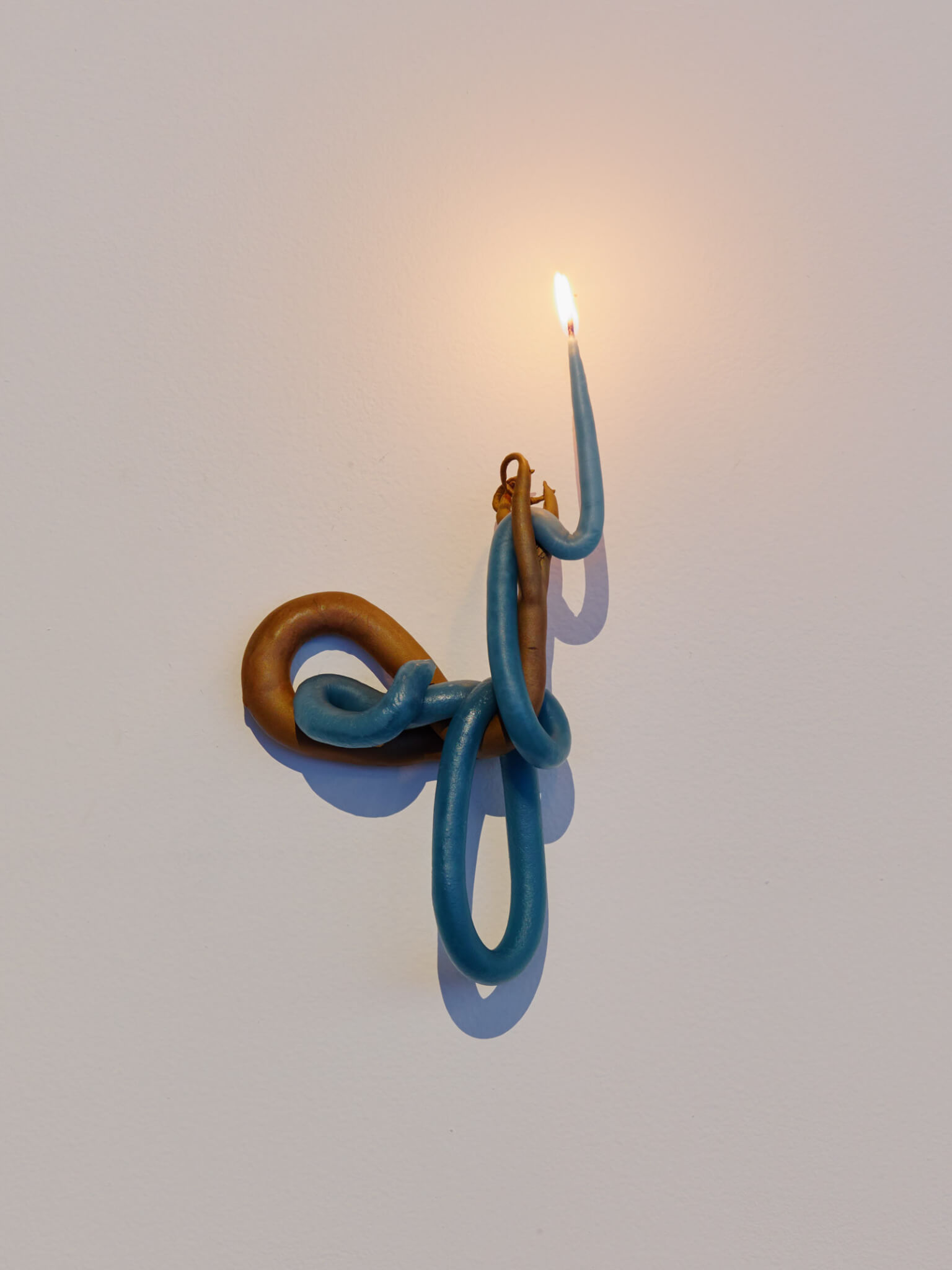 23c_kelly-akashi-wall-candle-tentacle-2016