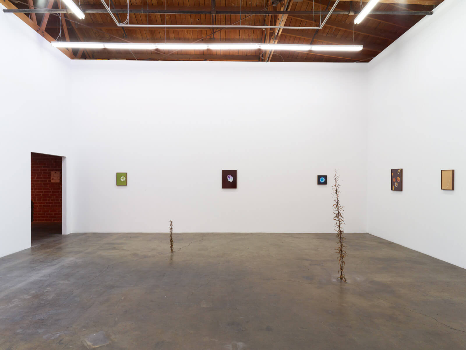2_kelly-akashi-being-as-a-thing-installation-view