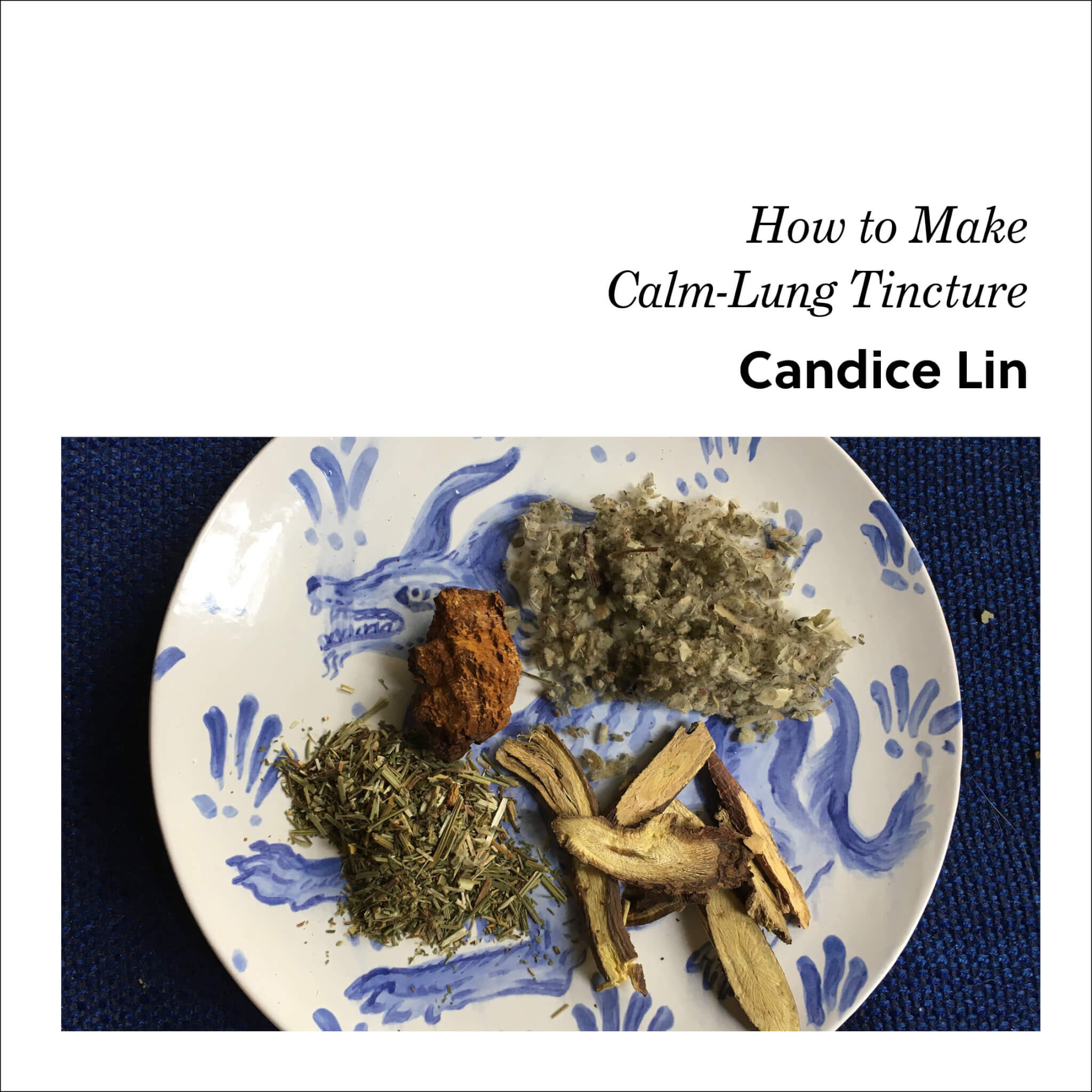Week 1: Candice Lin