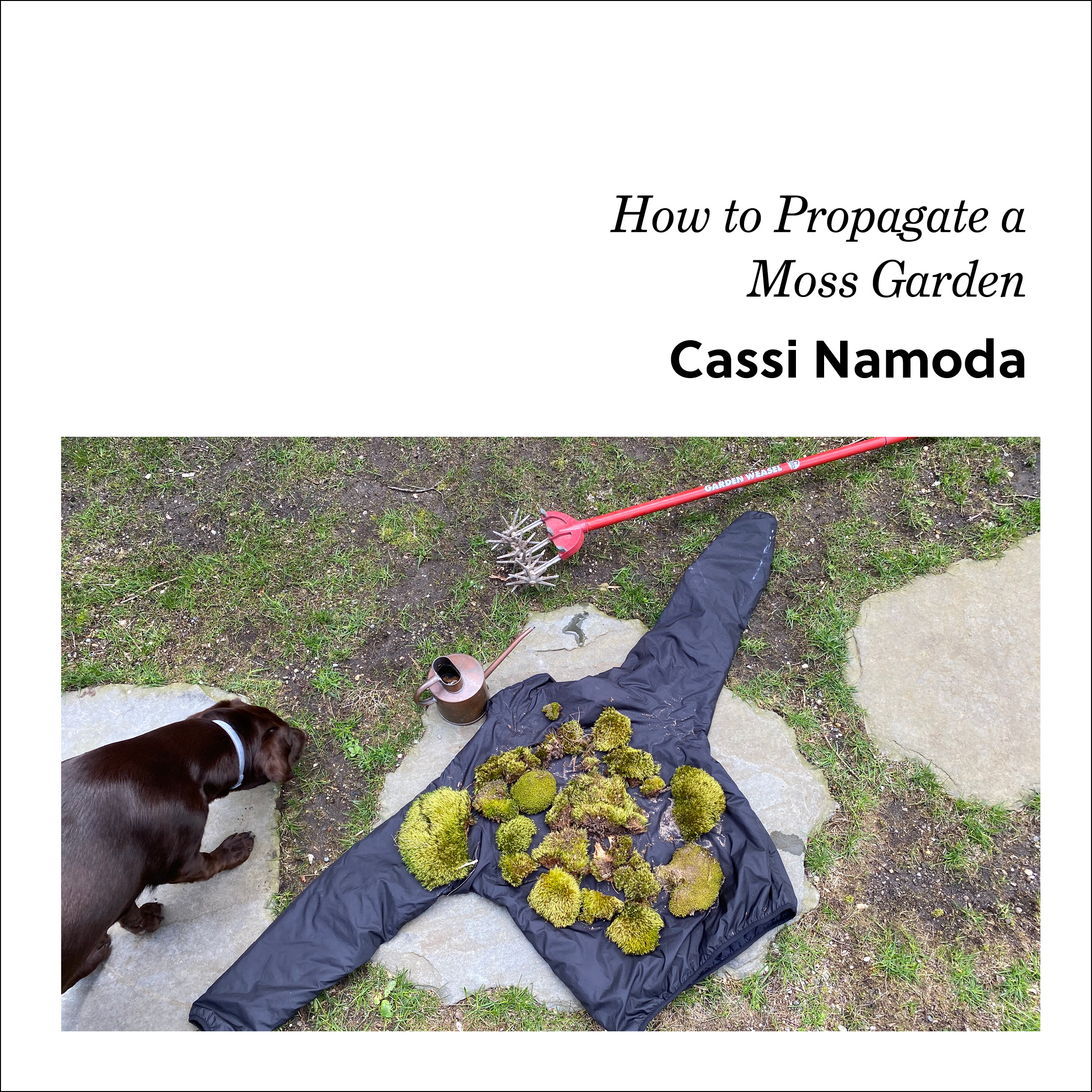 Week 2: Cassi Namoda